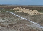 Satılır 1.8 sot torpaq Məhəmmədli