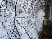 Satılır 3 otaqlı 120 m2 həyət evi Mehdiabad