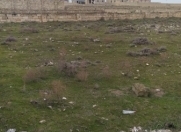 Satılır 5 sot torpaq Türkan