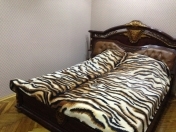 İcarəyə verilir 2 otaqlı 50 m2 köhnə tikili Azərbaycan kinoteatrı