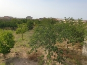 Satılır 27 sot torpaq Novxanı