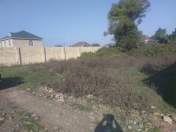 Satılır 6 sot torpaq Lənkəran