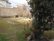 Satılır 6 sot torpaq 20 yanvar m.