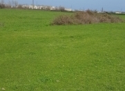 Satılır 60 sot torpaq Qəbələ