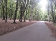 Satılır 3 otaqlı 83 m2 bağ evi İsmayıllı