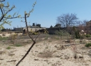 Satılır 18 sot torpaq Novxanı