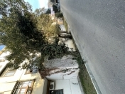 Satılır 2 otaqlı 60 m2 köhnə tikili 4 mkr