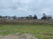 Satılır 14.4 sot torpaq Şüvəlan