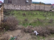 Satılır 3 sot torpaq Masazır