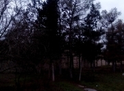 Satılır 11 sot torpaq Şüvəlan Park ticarət mərkəzi