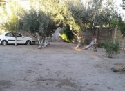 Satılır 3 otaqlı 110 m2 bağ evi Novxanı