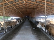 Satılır 10 otaqlı 1500 m2 obyekt Qala