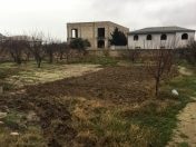 Satılır 1 otaqlı 1200 m2 bağ evi Görədil