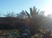 Satılır 8 sot torpaq Bilgəh