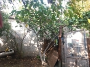 Satılır 6 sot torpaq Gənclik m.