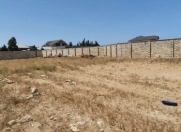 Satılır 40 sot torpaq Türkan