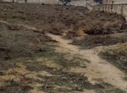 Satılır 10 sot torpaq Saray