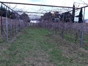 Satılır 12 sot torpaq Sabunçu r.