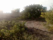 Satılır 20 sot torpaq Fatmayı