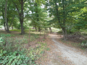 Satılır 8 sot torpaq Xaçmaz