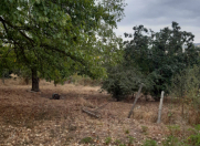 Satılır 16 sot torpaq İsmayıllı