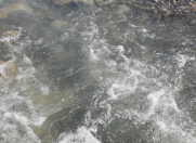 Satılır 8 sot torpaq İsmayıllı