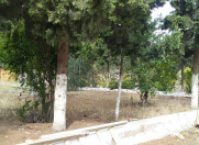 Satılır 29 sot torpaq Mərdəkan