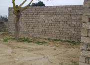 Satılır 11 sot torpaq Zirə