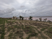 Satılır 6 sot torpaq Saray