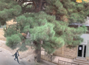 Satılır 2 otaqlı 56 m2 köhnə tikili 28 May m.