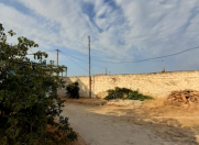 Satılır 25 sot torpaq Albalı