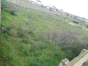 Satılır 15 sot torpaq Ləhic Bağları