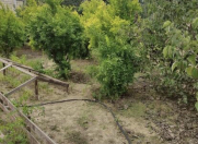 Satılır 6 sot torpaq Novxanı