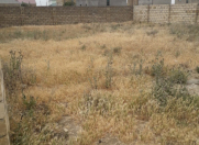Satılır 4 sot torpaq Mehdiabad