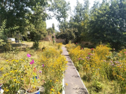 Satılır 6 otaqlı 170 m2 bağ evi Qəbələ