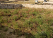 Satılır 6 sot torpaq Novxanı