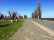 Satılır 90 sot torpaq Lənkəran