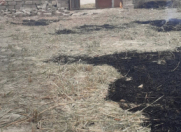 Satılır 3 sot torpaq Ramana