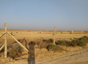 Satılır 400 sot torpaq Perekeşkül