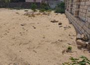 Satılır 31 sot torpaq Pirşağı