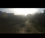 Satılır 25 sot torpaq Albalı