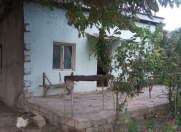 Satılır 1 otaqlı 800 m2 bağ evi Əhmədli