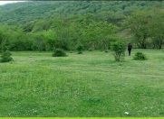 Satılır 48 sot torpaq Qax