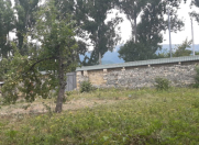 Satılır 3 otaqlı 178 m2 həyət evi İsmayıllı