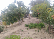 Satılır 8 sot torpaq Zığ