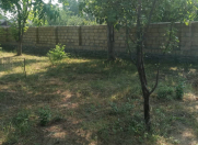 Satılır 8 sot torpaq Qəbələ