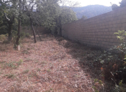 Satılır 14 sot torpaq Qəbələ