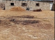 Satılır 17 sot torpaq Məhəmmədli