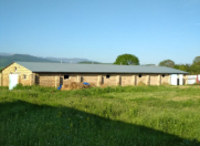 Satılır 250 sot torpaq İsmayıllı