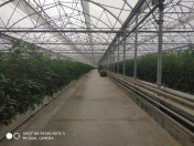 Satılır 5 otaqlı 30000 m2 obyekt Maştağa